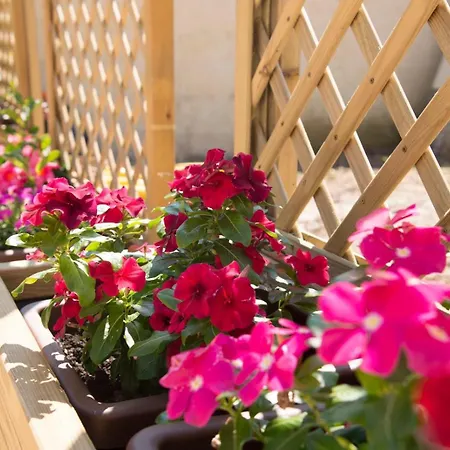 Bed & Breakfast La Dimora Di Marco - Exclusive Art Salento Melendugno